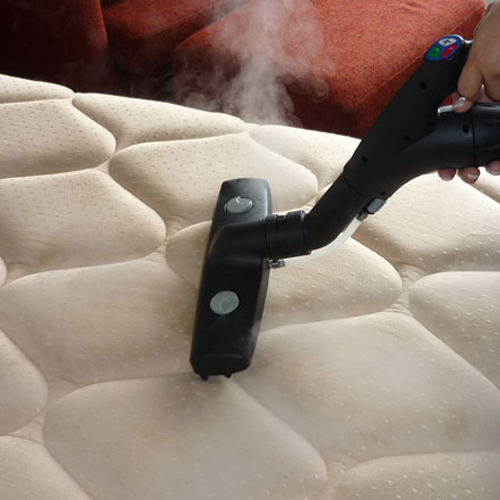 Mattress-Cleaning-babylon-New-York-Dust-mites-&-other-pests-Jersey-City-NJ